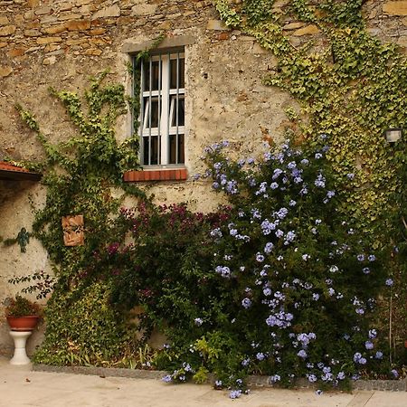 Al Vecchio Convento Mare E Monti Bed & Breakfast Ortonovo Ngoại thất bức ảnh